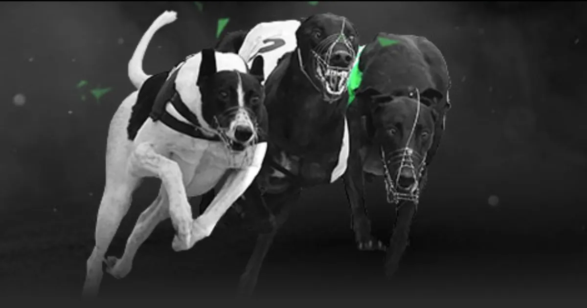 巴薩副主席,强调,全力抵御姆,世界杯竞猜,2026世界杯,足球赔率,赛事预测,竞猜技巧