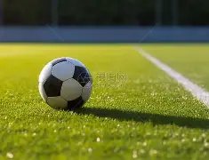 烏度卡坚信,正道同行,赛季磨砺助,世界杯竞猜,2026世界杯,足球赔率,赛事预测,竞猜技巧