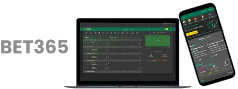 济南奥体中,心举行泰山,队新援马德,世界杯竞猜,2026世界杯,足球赔率,赛事预测,竞猜技巧