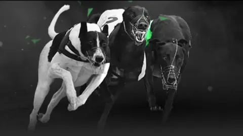 巴薩副主席强调：全力抵御姆巴佩巴黎挑战，力求晋级半决赛